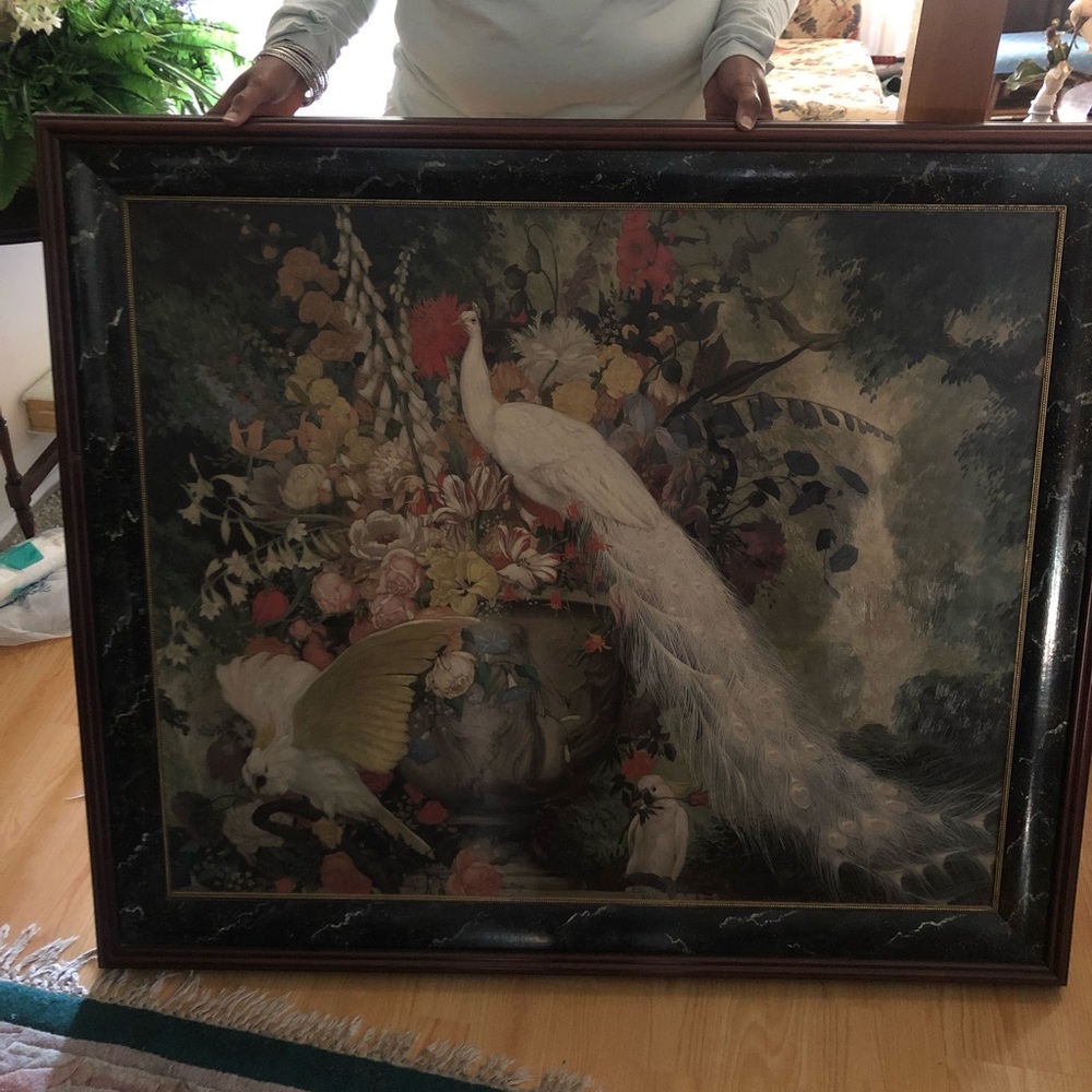 Peacock Painting